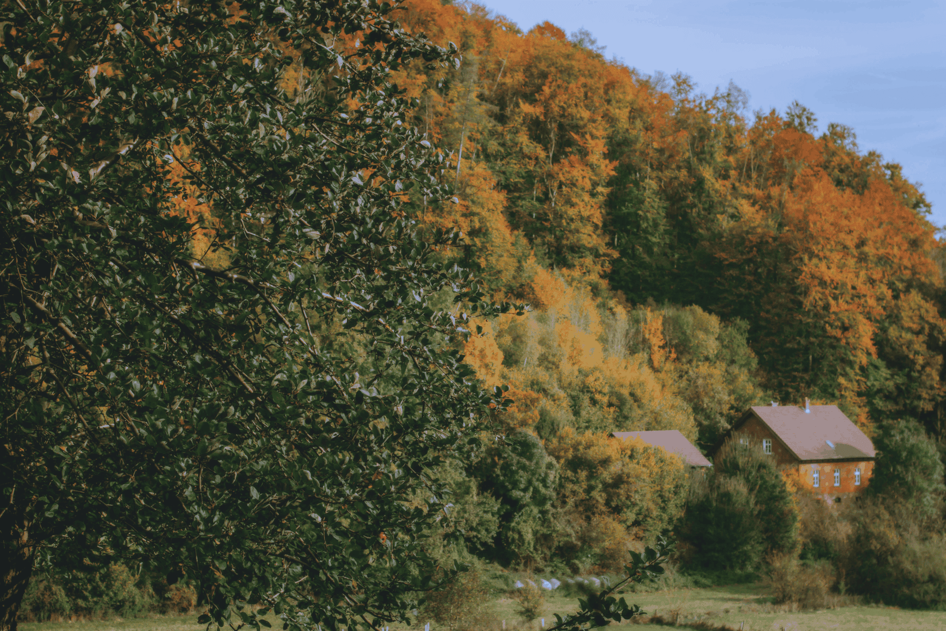 Widok z lotu ptaka na domek letniskowy w górach